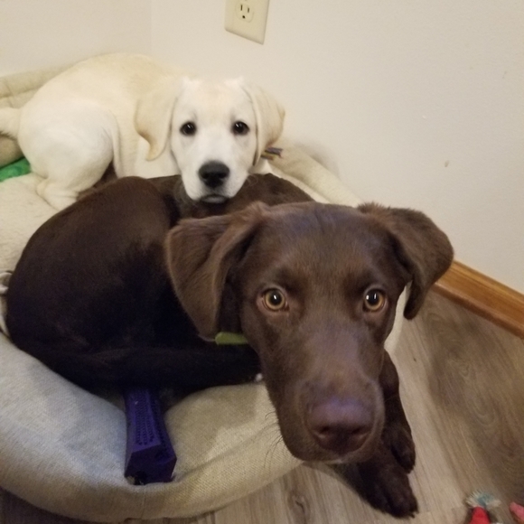 It me, Natalie! - Picture 1 of 1